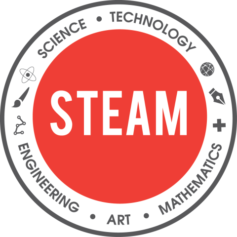 STEAM logo