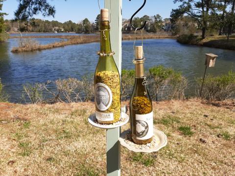 Bottle Birdfeeder