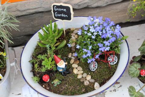 gnome garden 