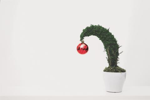 red ornament hanging off a small green tree in a white pot
