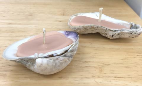 shell candles