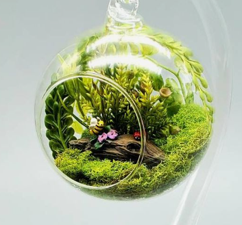 Miniature fairy garden with greenery in plastic bulb ornament