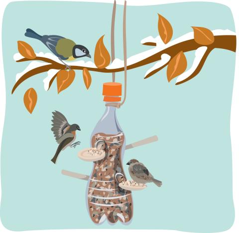 Birds eating from a plastic bottle bird feeder hanging from a tree