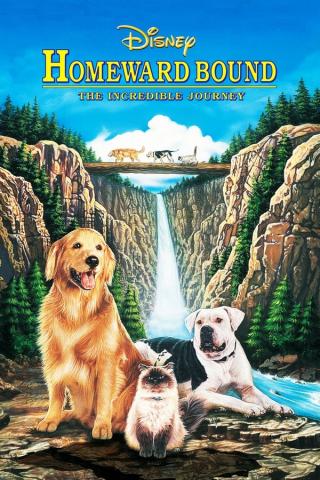 Movie poster for Homeward Bound: The Incredible Journey