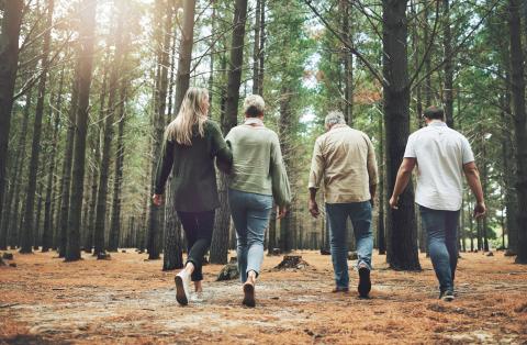 People walking in woods