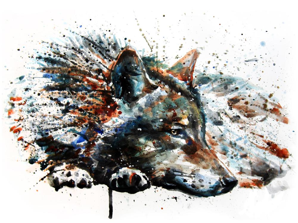 wolf