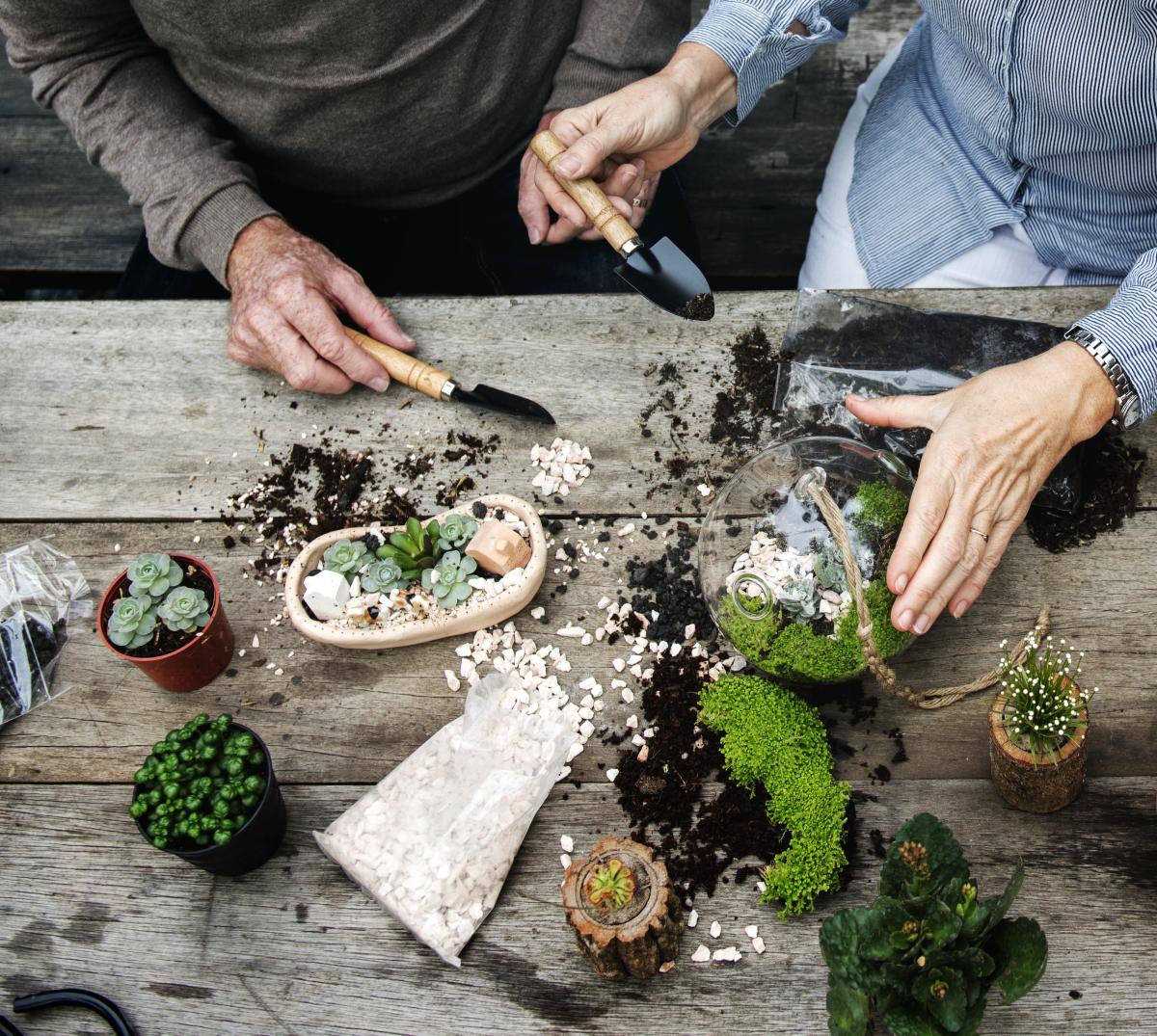 Adults creating succulent terrariums in glass bowls.