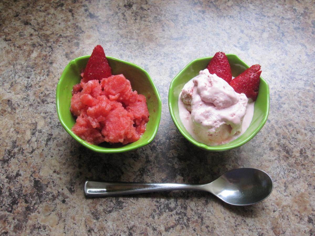 Sample of sorbet and ice cream made in sandwich bags