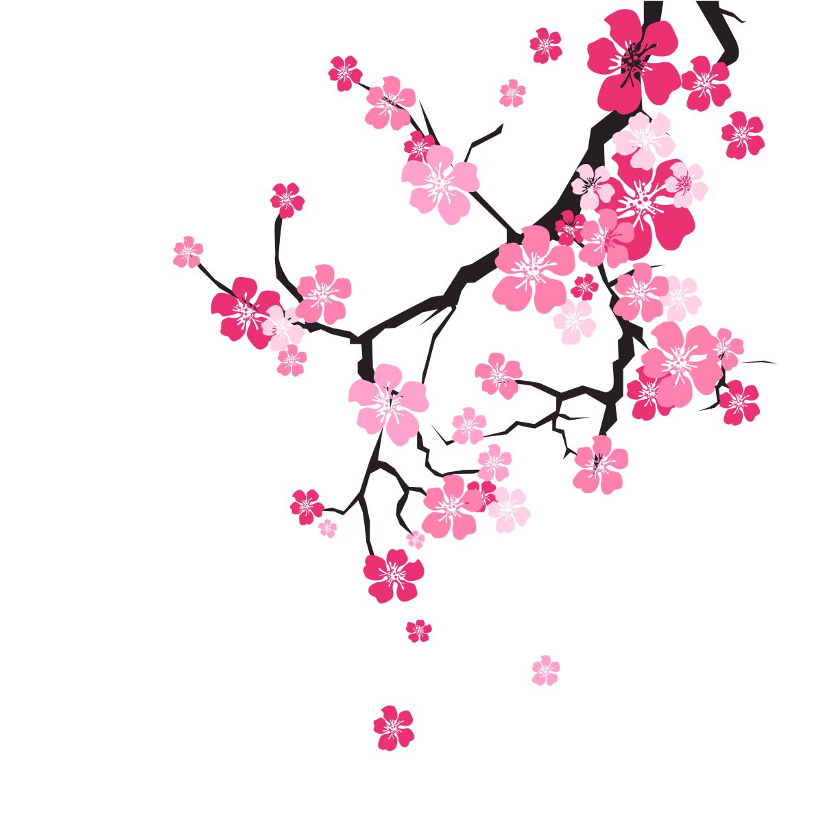 cherry blossom background sakura flowers pink on branch